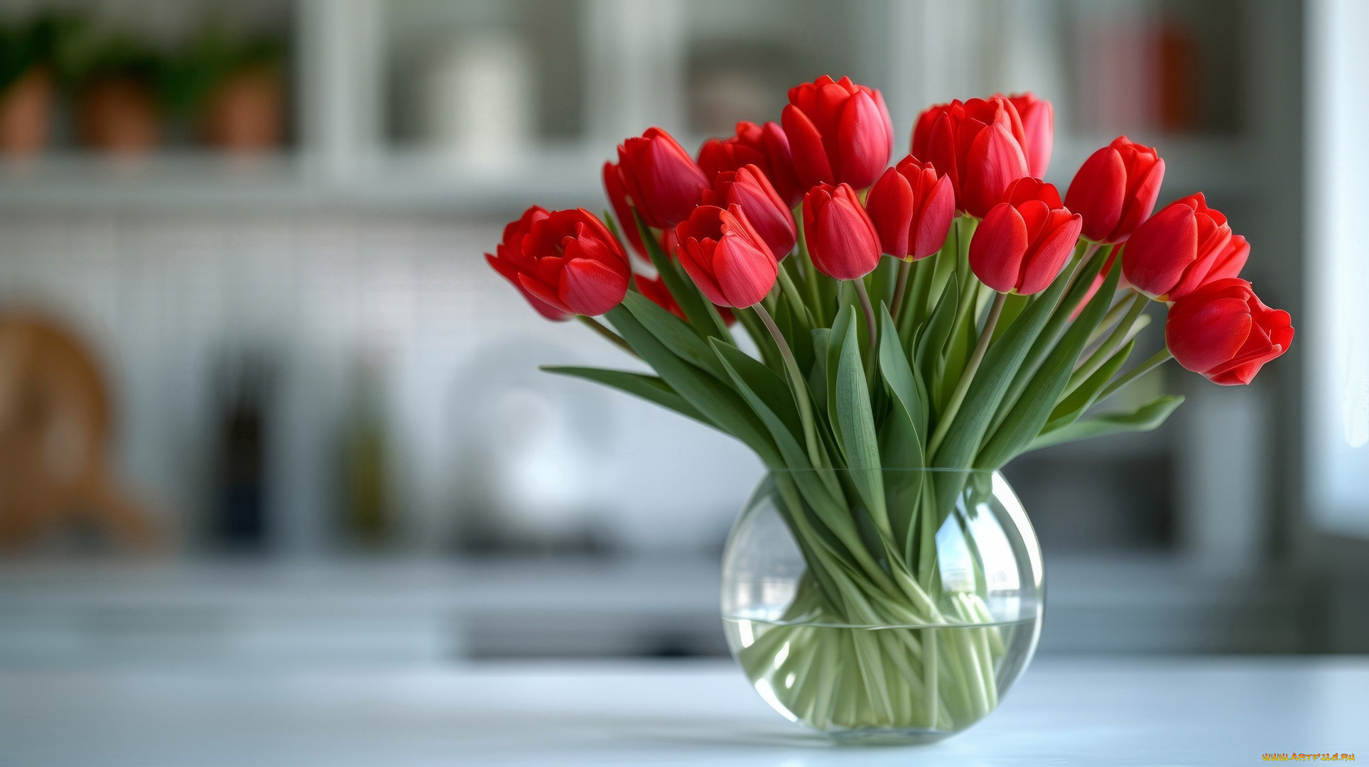 3 ,  , flowers, 